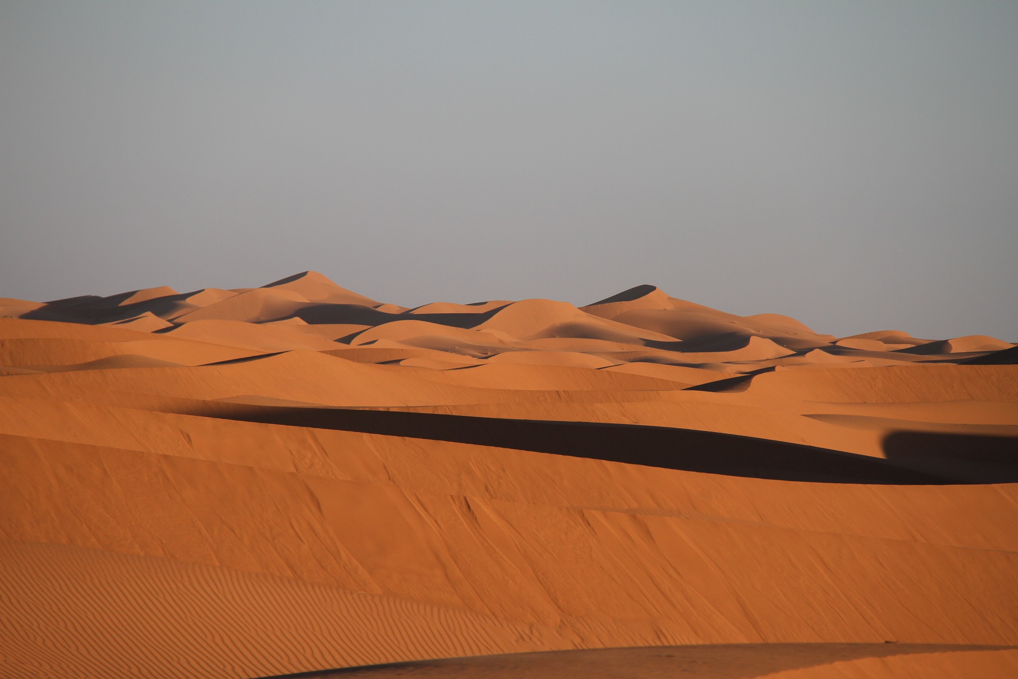 Dune2 Rid